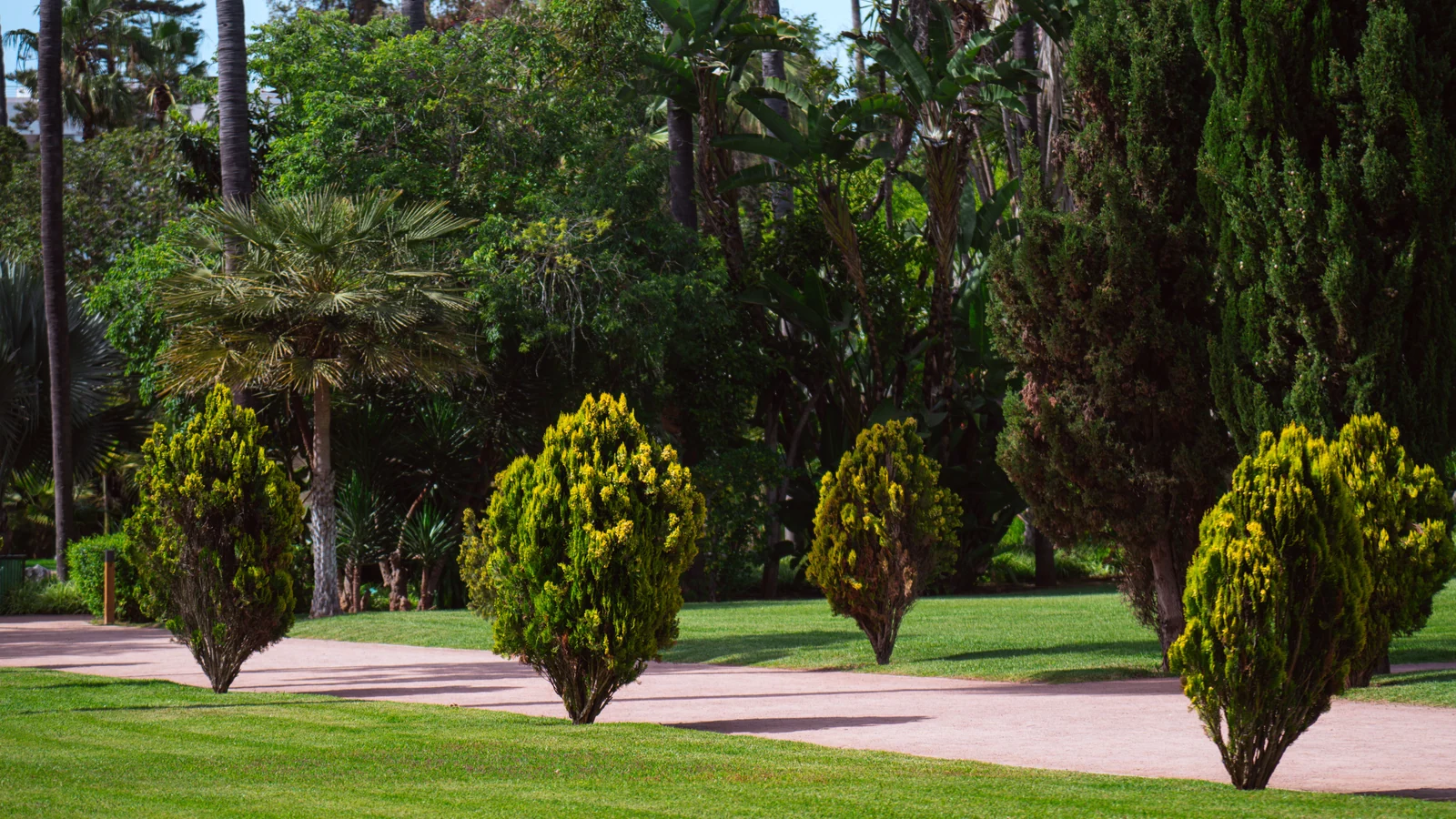 Neighbourhood park in Lasudia Mori, Indore