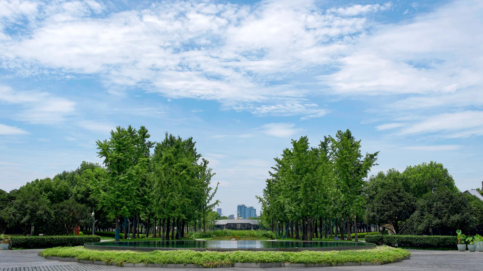 Neighbourhood park in Musakheri, Indore