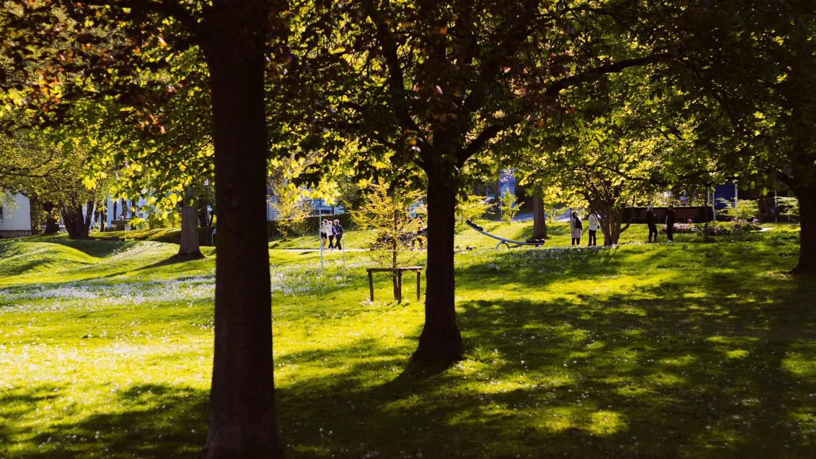Neighbourhood park in Adhartal, Jabalpur
