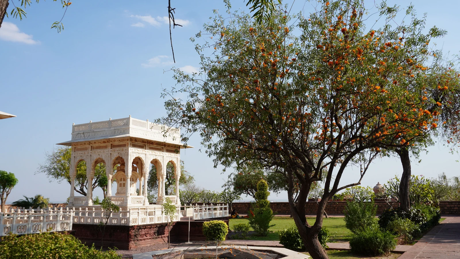 Neighbourhood park in Ashok Nagar, Jaipur