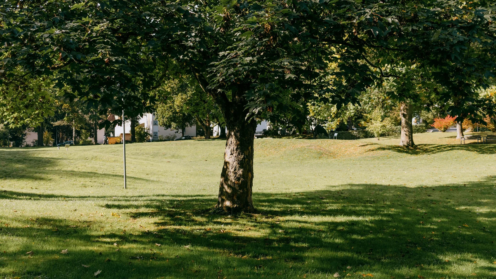 Neighbourhood park in Ajit Nagar, Jalandhar