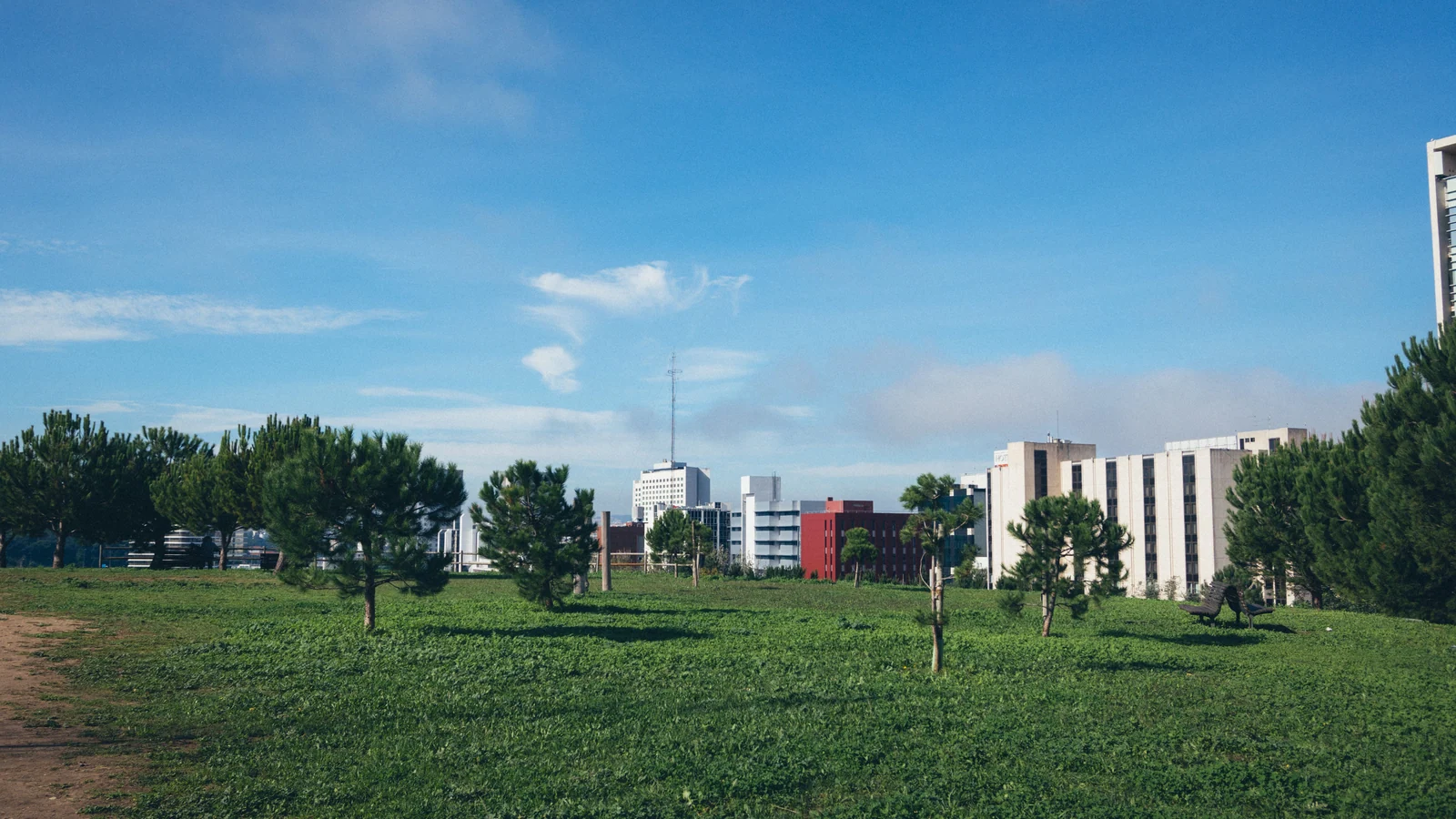 Neighbourhood park in Chopra Township, Jalandhar