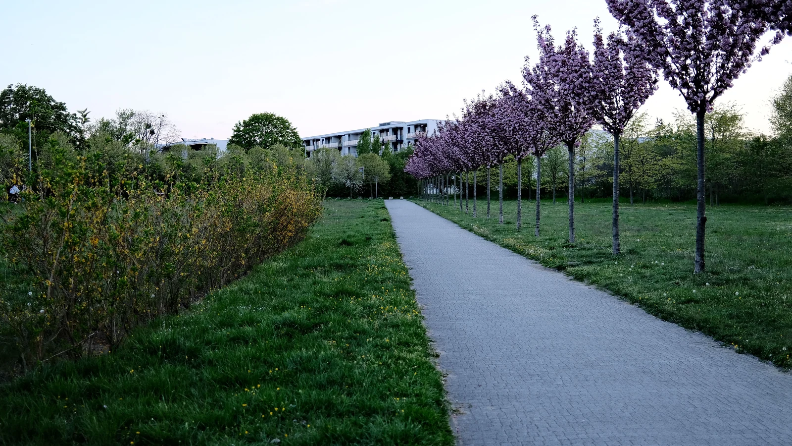 Neighbourhood park in Shashi Nagar, Jalandhar