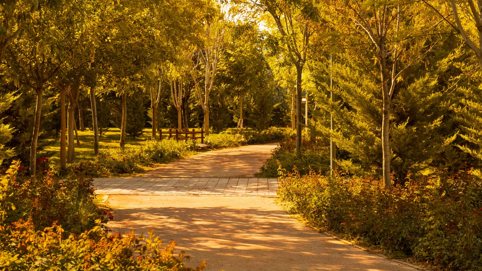 Neighbourhood park in Anganwa, Jodhpur