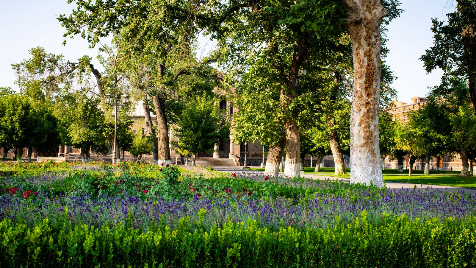 Neighbourhood park in Bhasker Nagar, Jodhpur