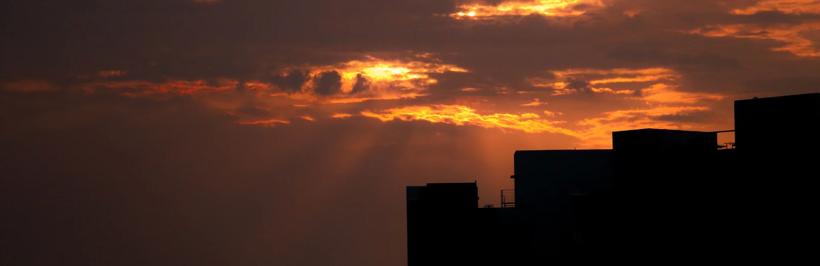 Skyline of Mandore, Jodhpur at golden hour