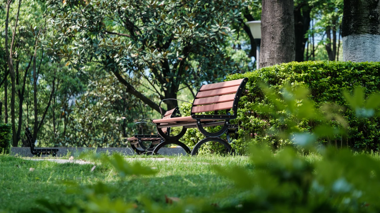 Neighbourhood park in Palri Mangaliya, Jodhpur