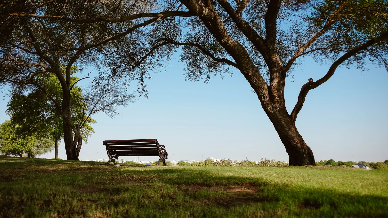 Neighbourhood park in Saleraj Society, Jodhpur