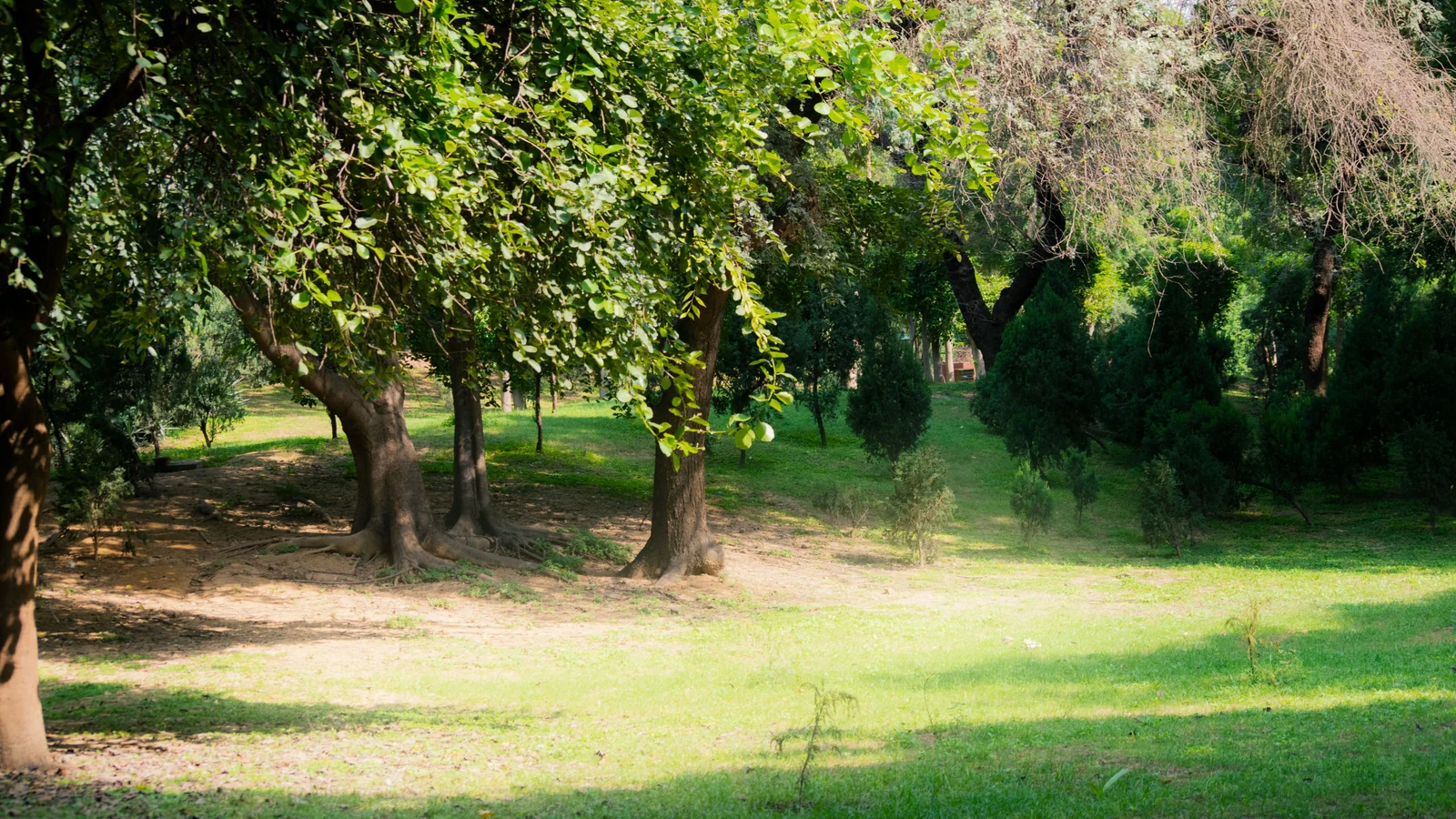 Neighbourhood park in Bara Sirohi, Kanpur