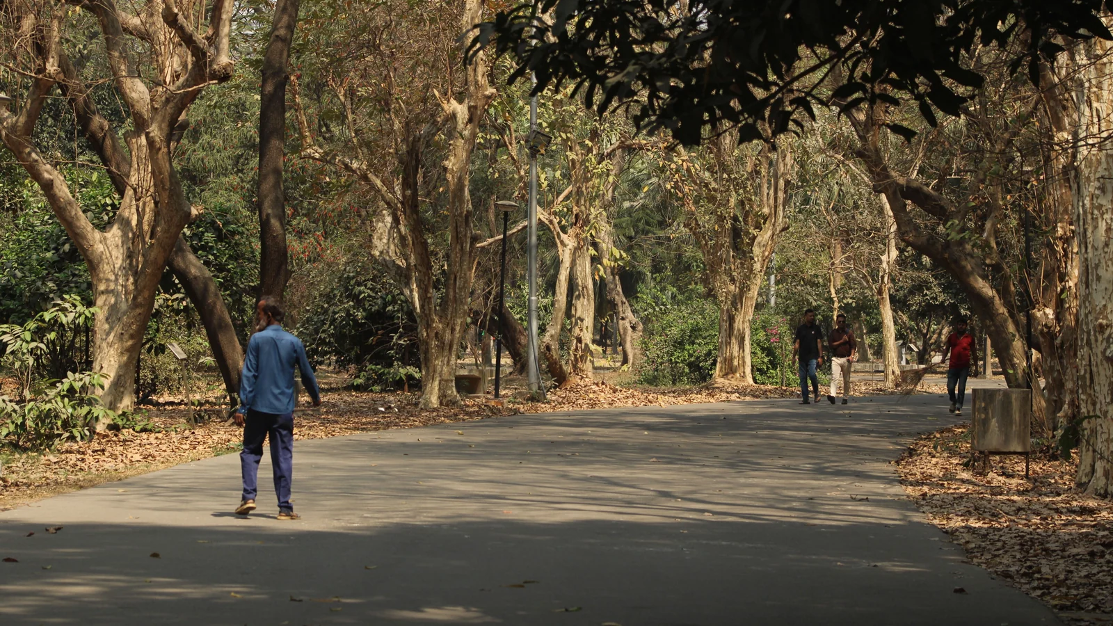 Neighbourhood park in Civil Lines, Kanpur