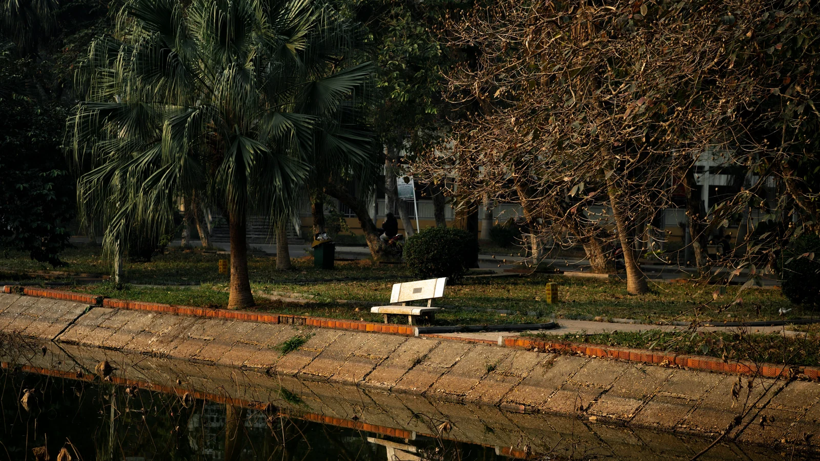 Neighbourhood park in Harish Ganj, Kanpur