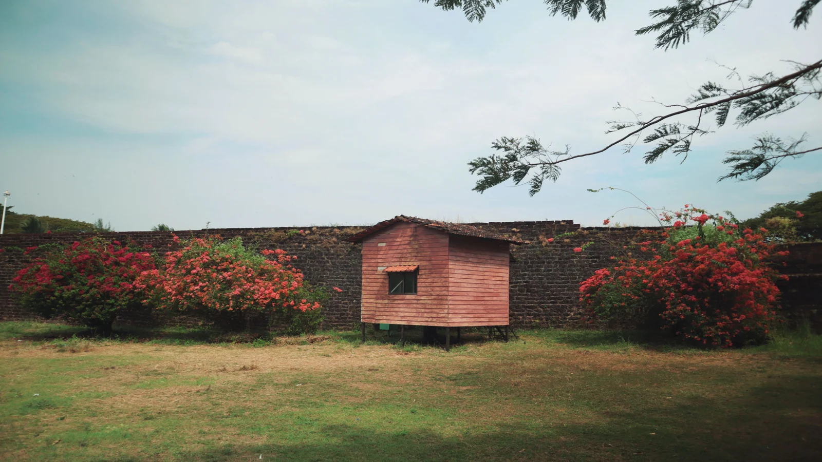 Neighbourhood park in Laxmi Narayan Colony, Kolhapur
