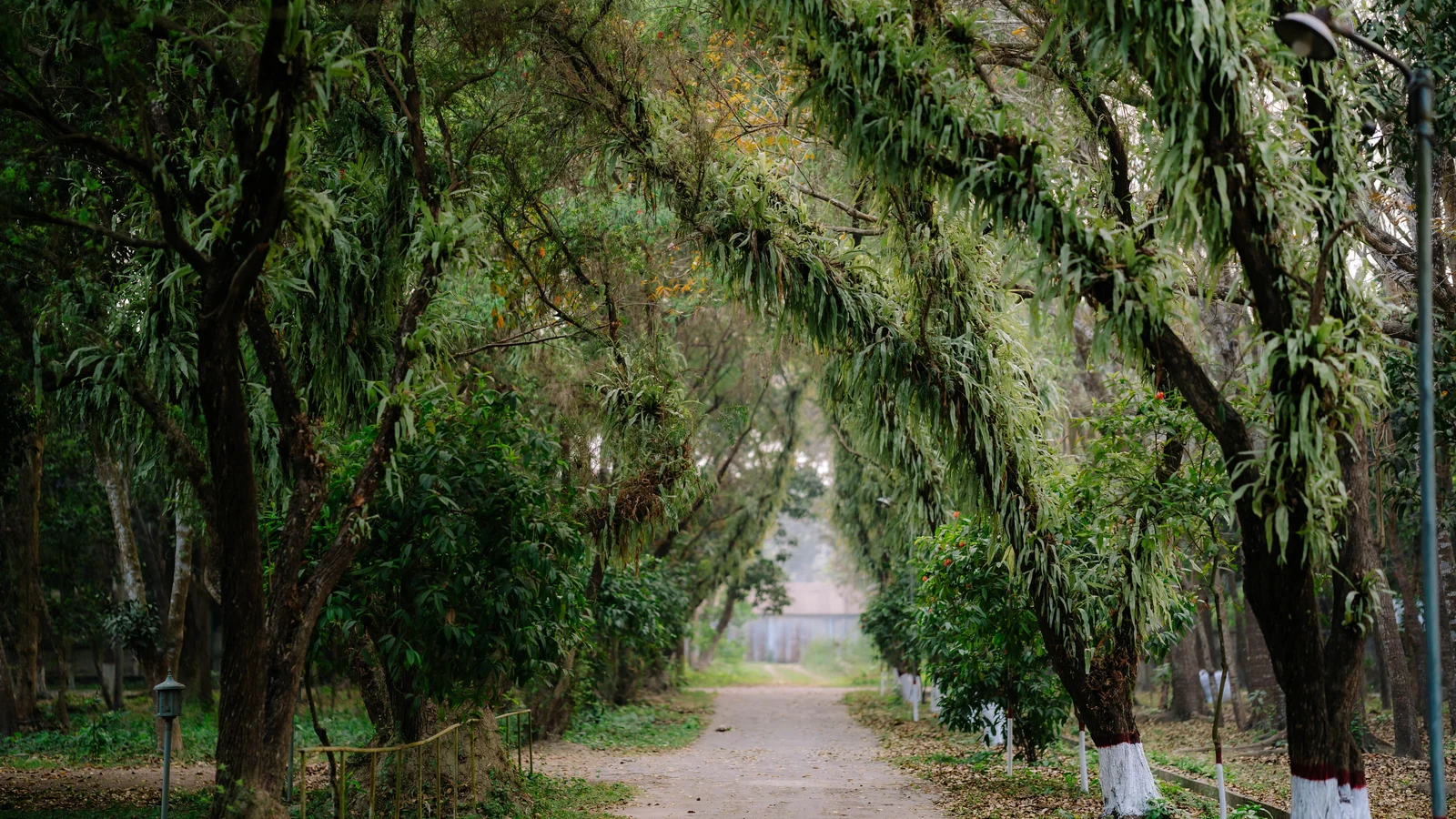Neighbourhood park in Arjunpur, Kolkata