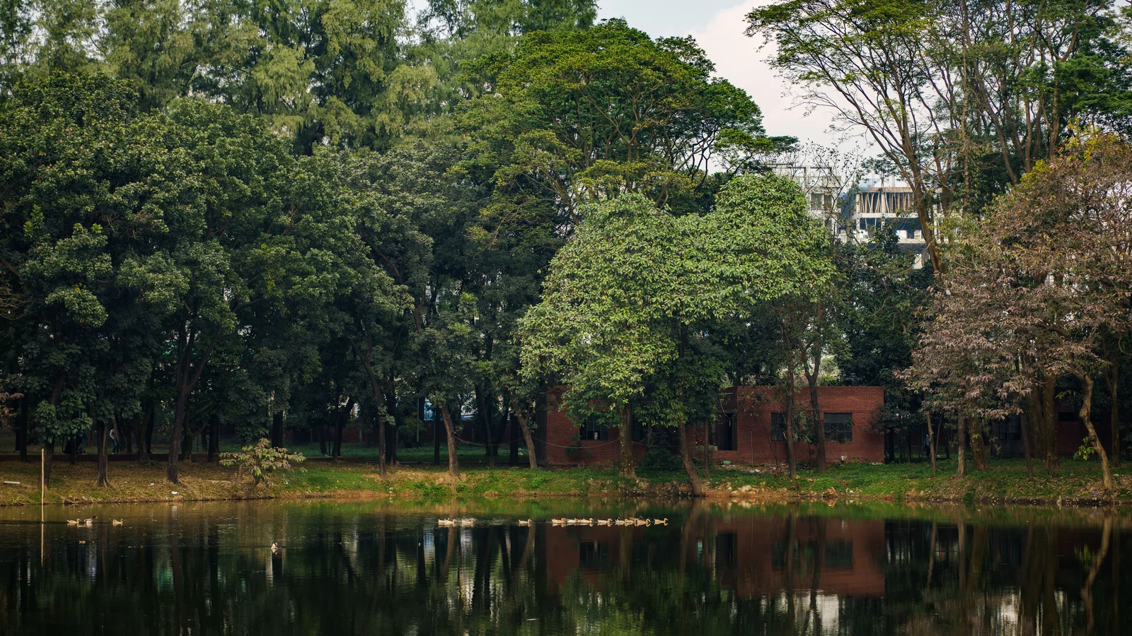 Neighbourhood park in Baruipur, Kolkata