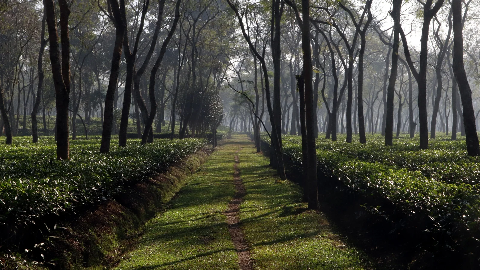 Neighbourhood park in Naihati, Kolkata