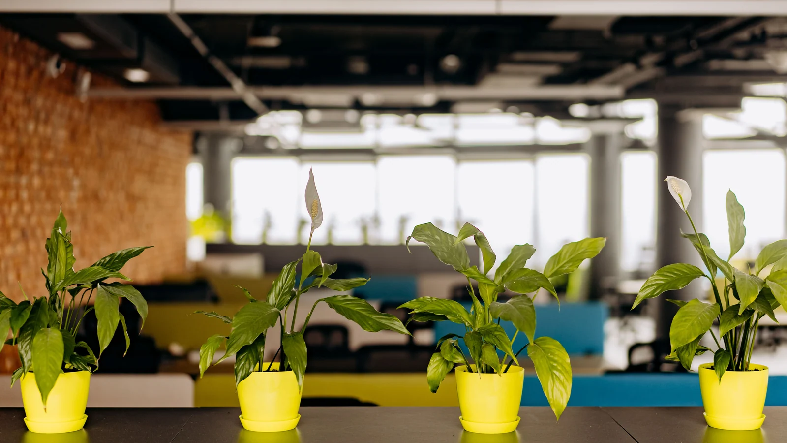 Offices and coworking space in Rajarhat, Kolkata