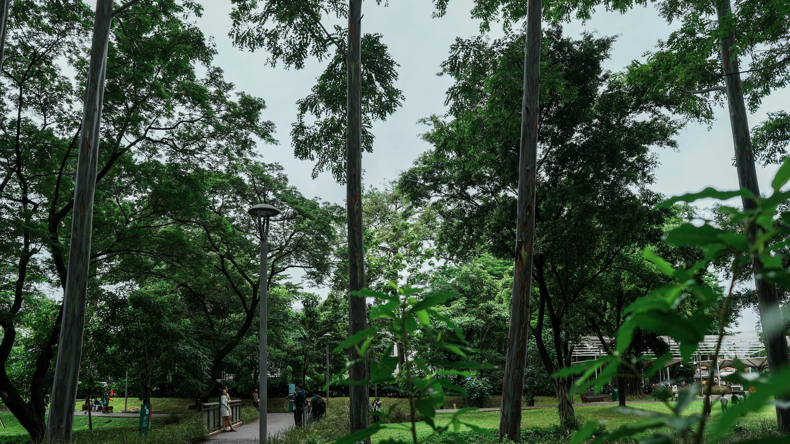 Neighbourhood park in Aadarsh Colony, Kota