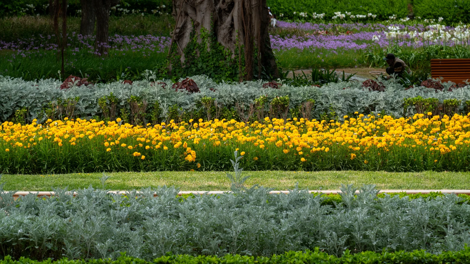 Neighbourhood park in Army Area, Kota