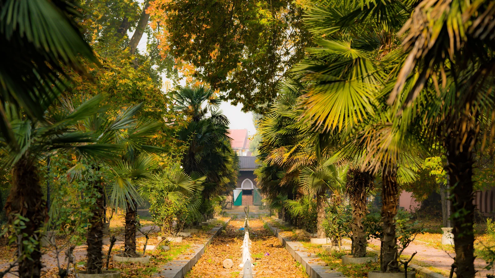 Neighbourhood park in Girdharpura, Kota