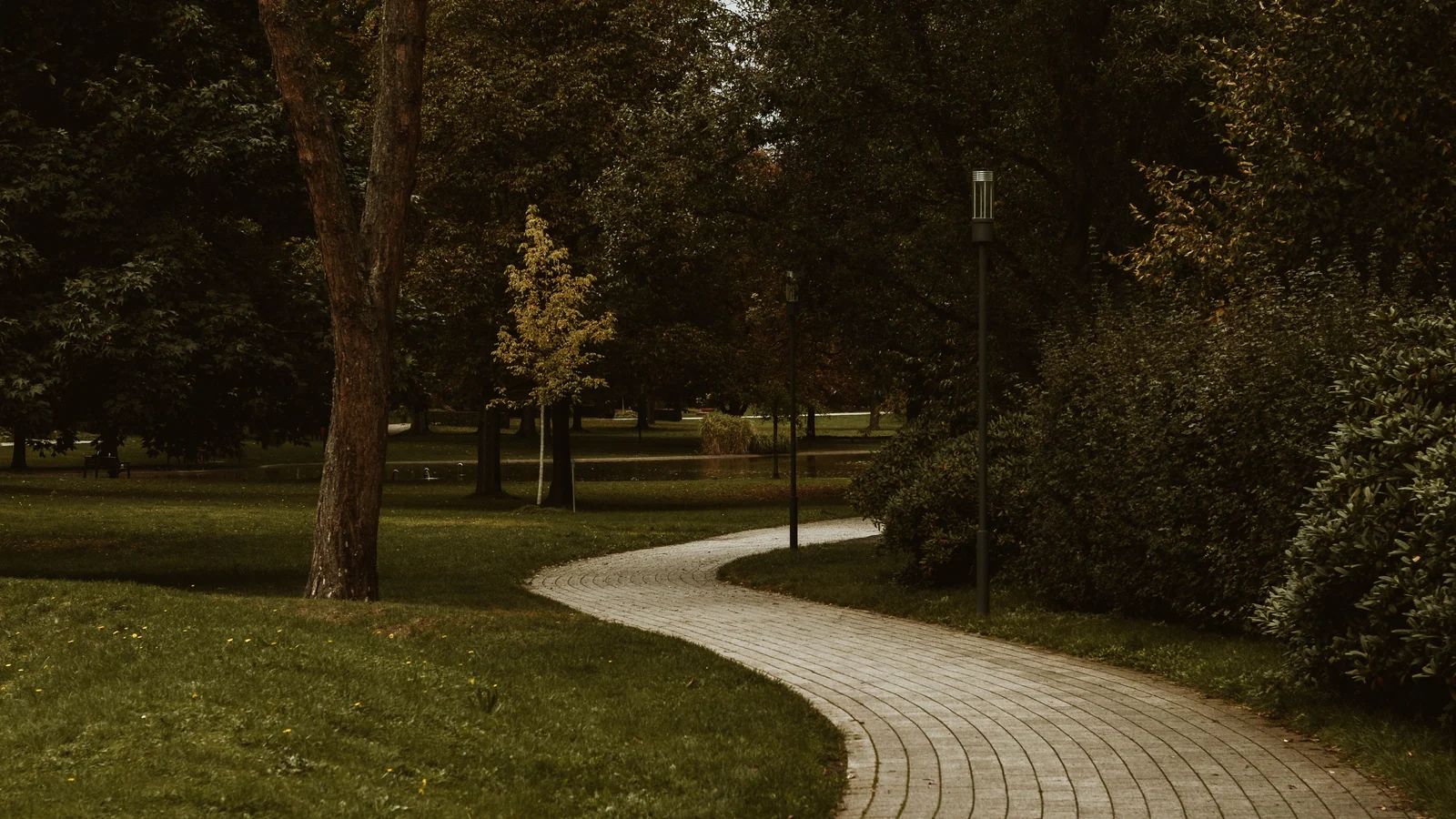 Neighbourhood park in Parshadikhera, Lucknow