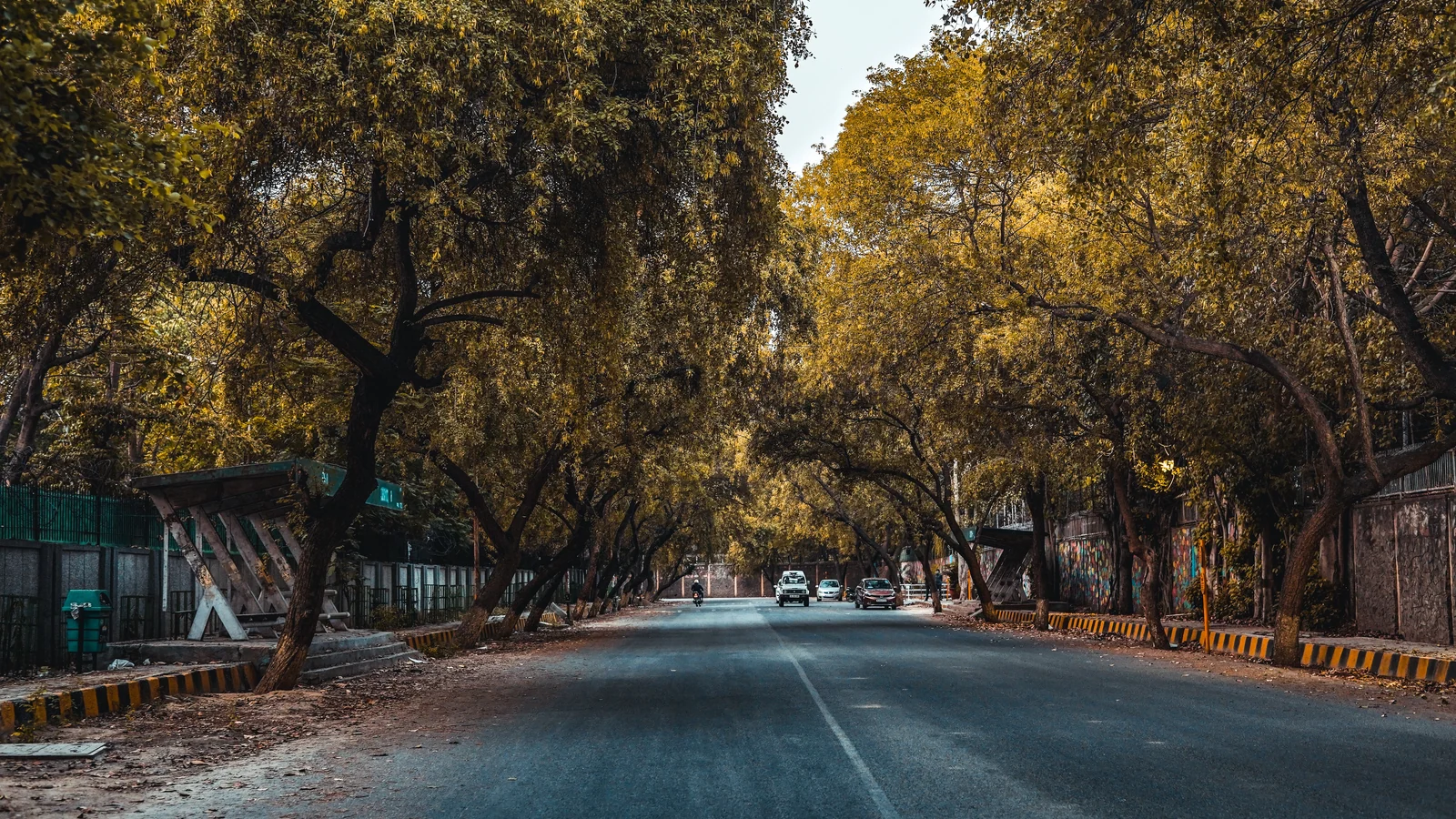 Neighbourhood park in Basant Avenue, Ludhiana