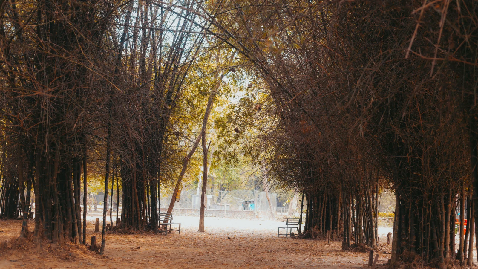 Neighbourhood park in Brown Road, Ludhiana