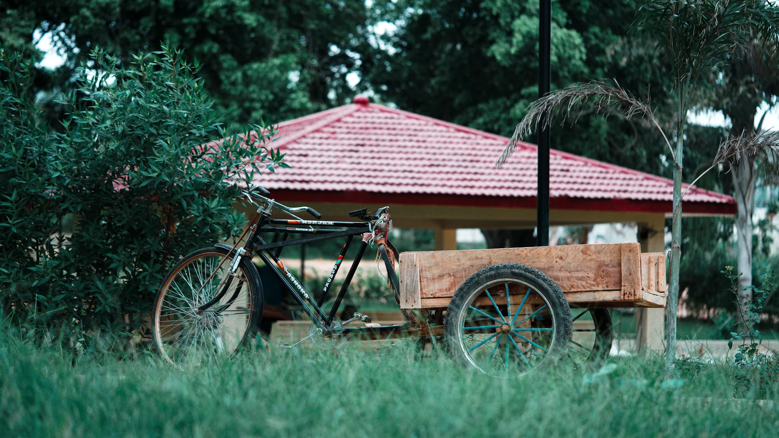 Neighbourhood park in Ghumar Mandi, Ludhiana