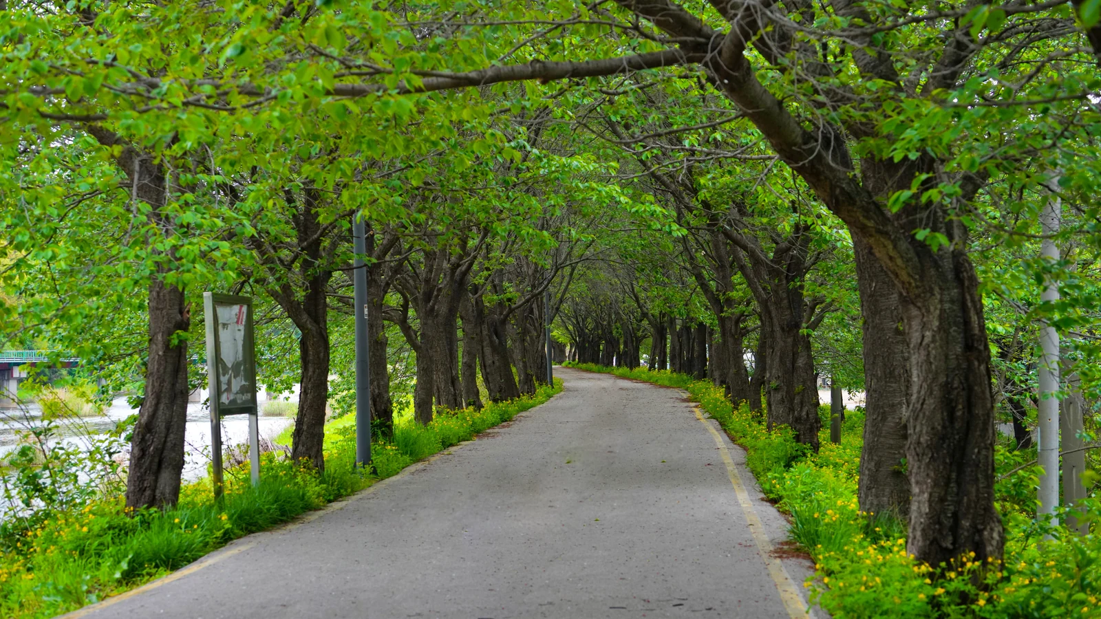 Neighbourhood park in Pakhowal Road, Ludhiana