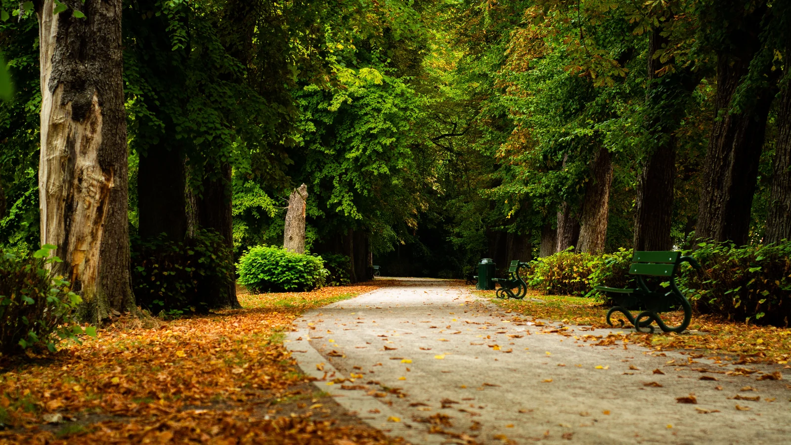 Neighbourhood park in Shaheed Bhagat Singh Nagar, Ludhiana