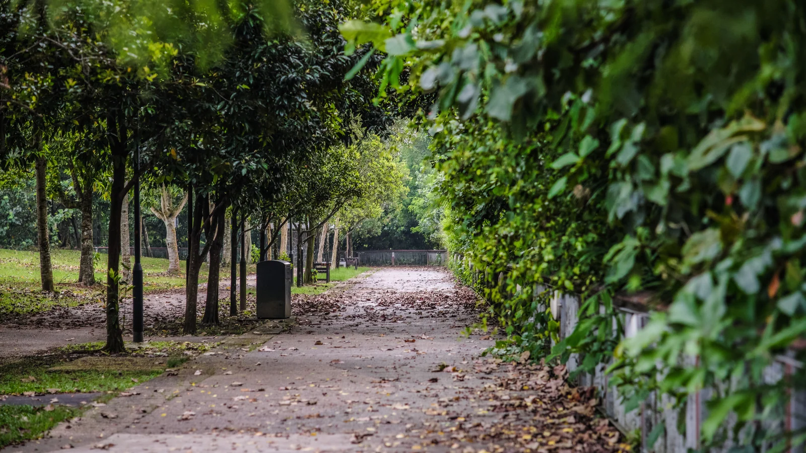 Neighbourhood park in Bhayandar West, Mumbai