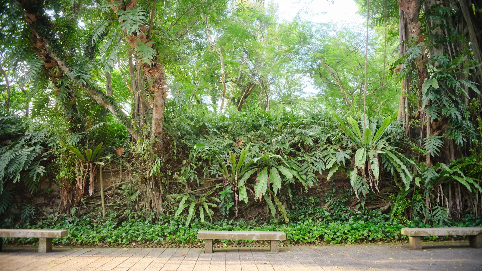 Neighbourhood park in Dharavi, Mumbai