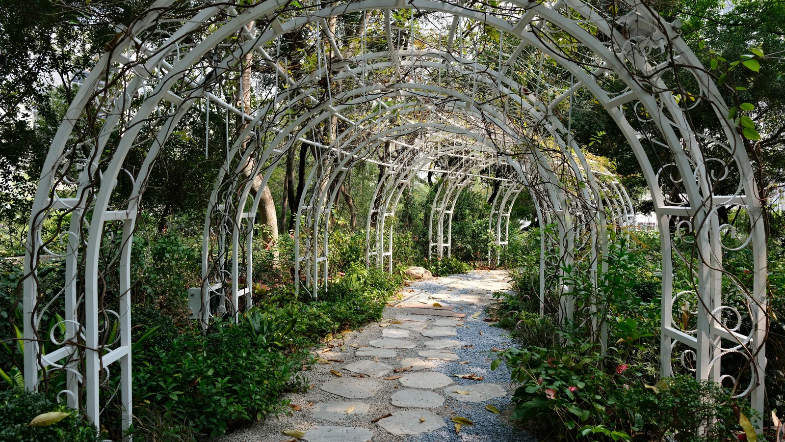 Neighbourhood park in Mahalaxmi, Mumbai