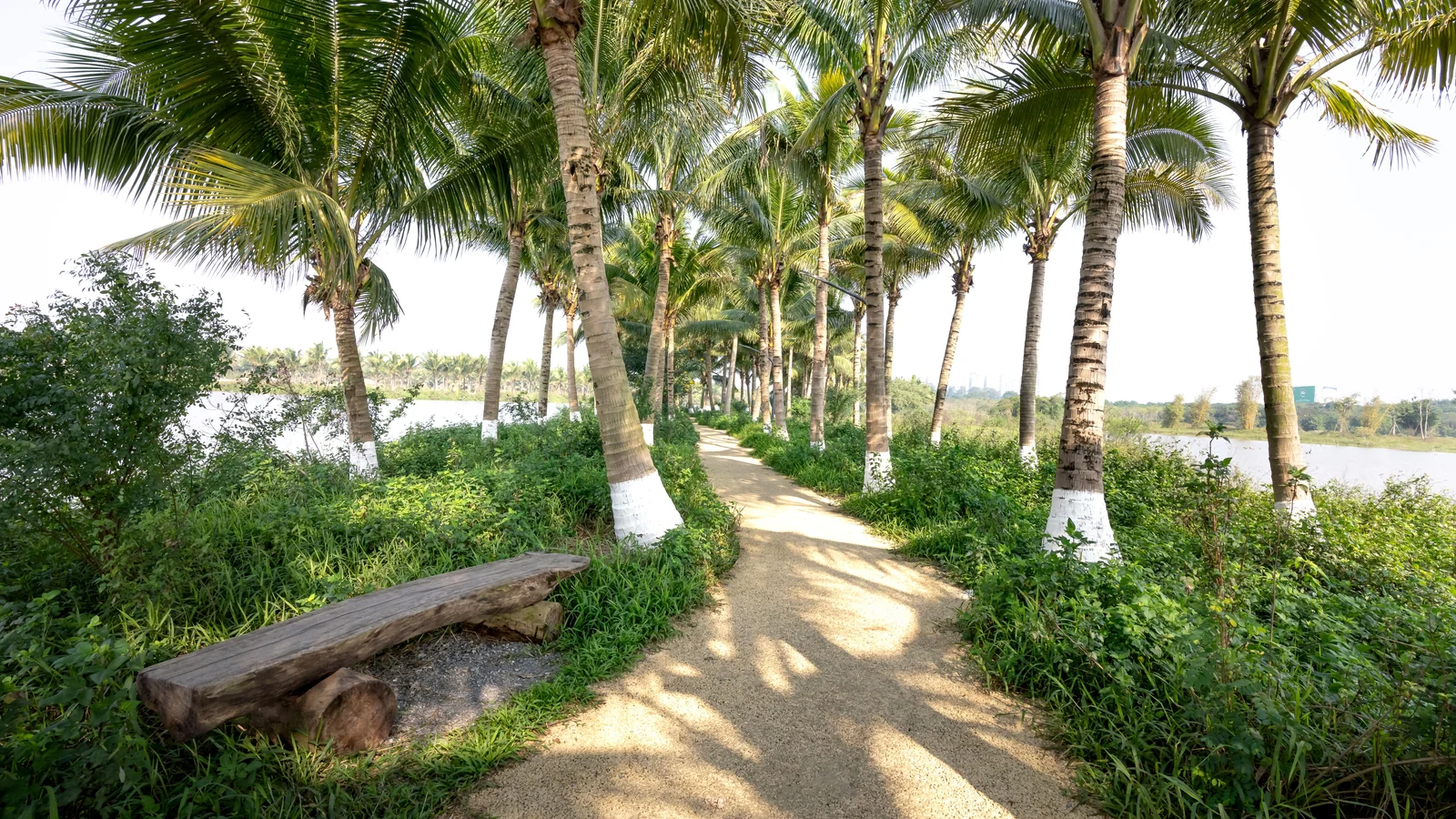 Neighbourhood park in Mira Road East, Mumbai