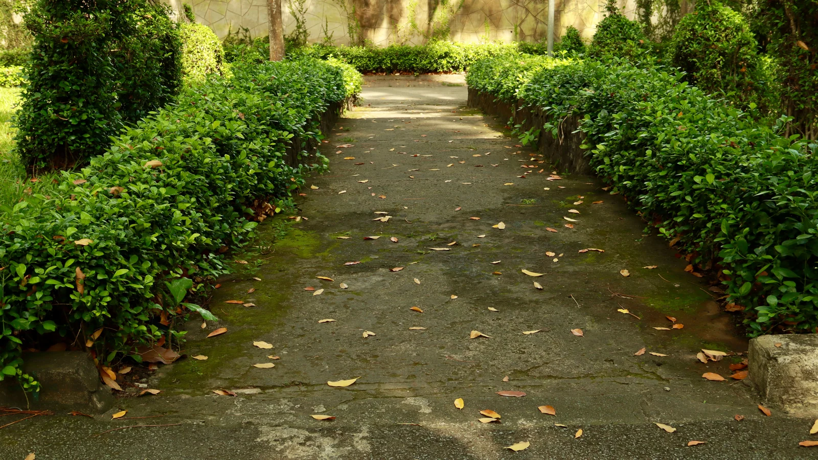 Neighbourhood park in Vikhroli West, Mumbai