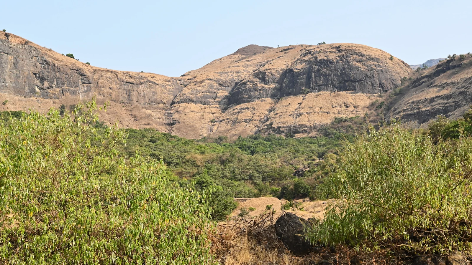 Neighbourhood park in Chitadiya Nagar, Nashik
