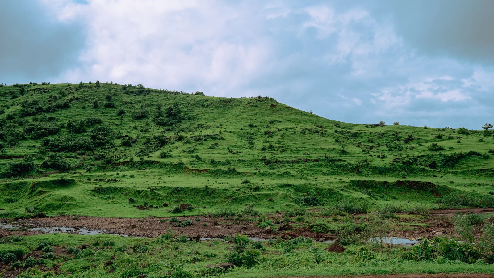 Neighbourhood park in Ekta Nagar, Nashik