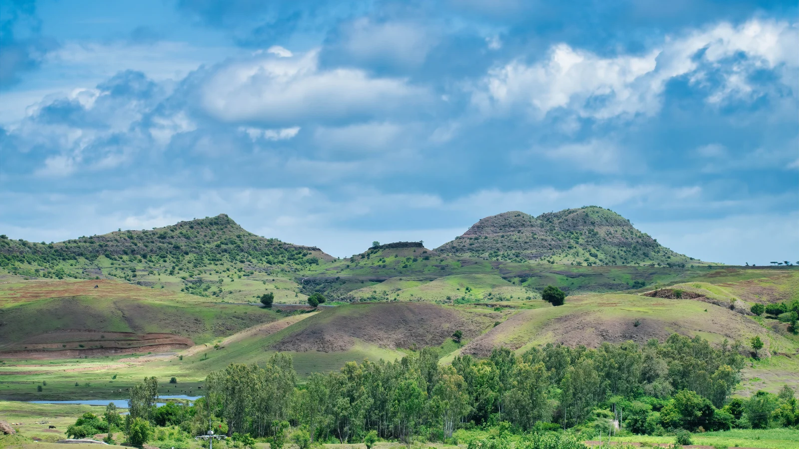 Neighbourhood park in Kharjul Mala, Nashik