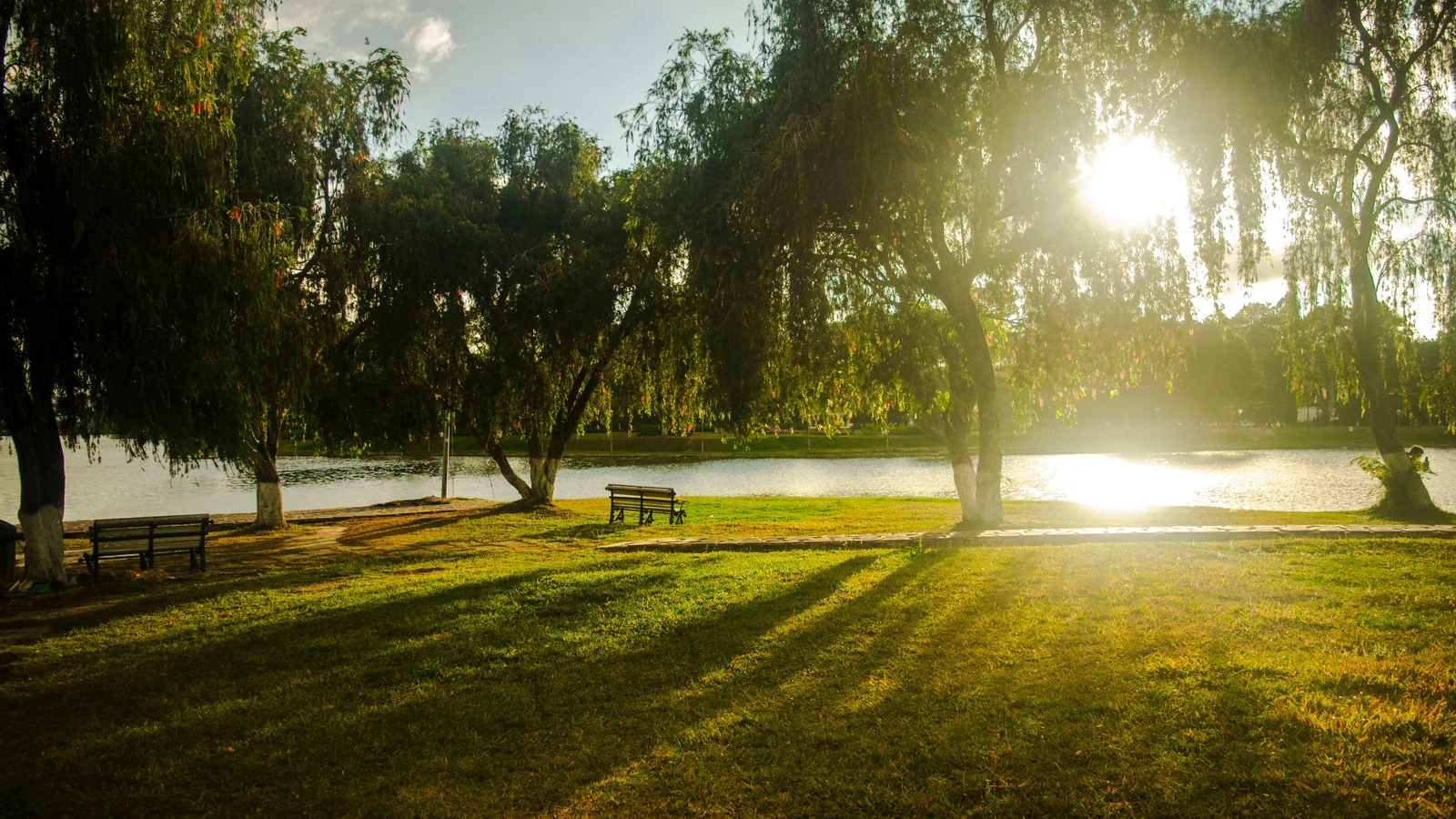 Neighbourhood park in New Samangaon, Nashik