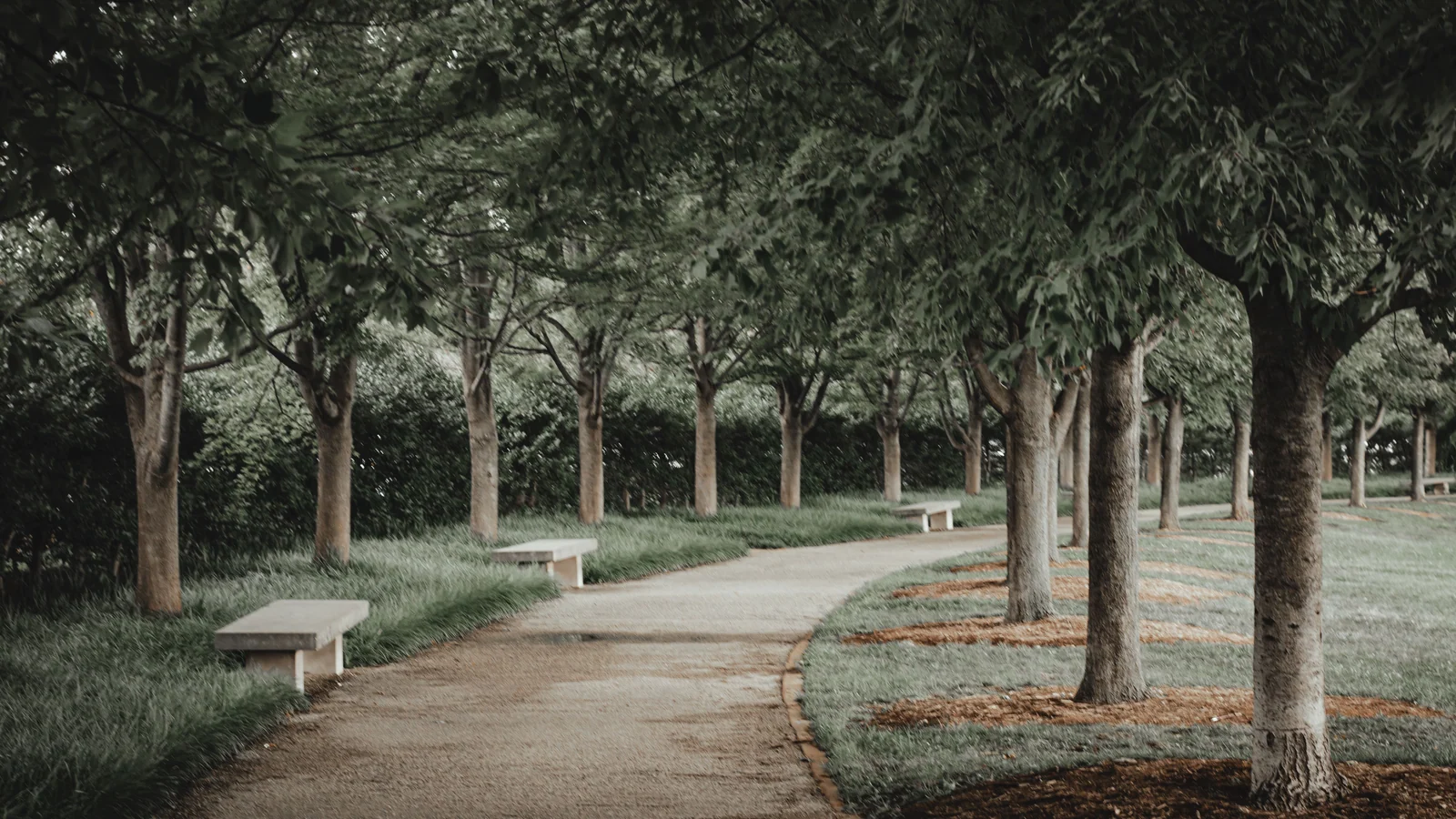 Neighbourhood park in Sector 124, Noida