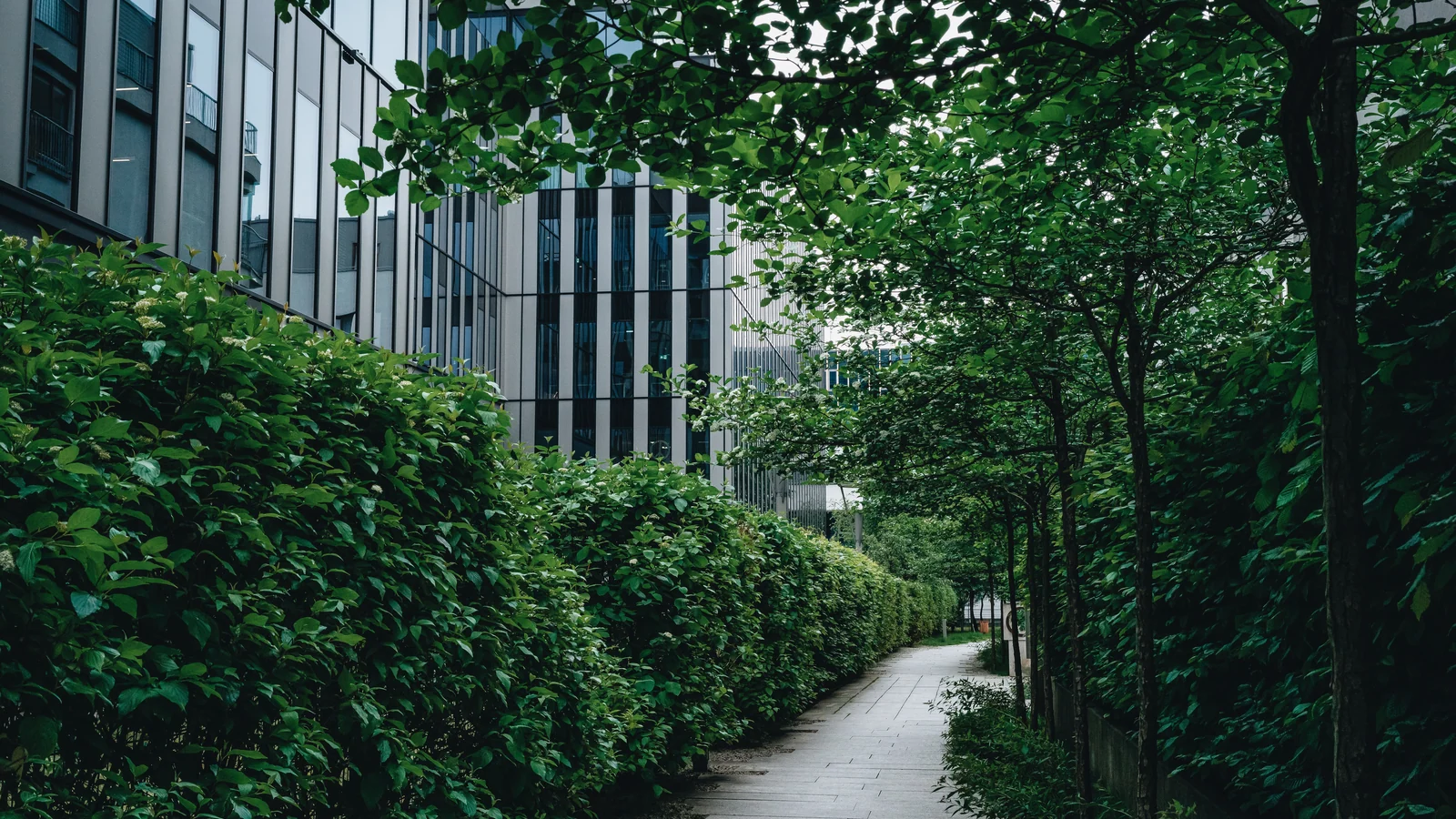 Neighbourhood park in Sector 128, Noida