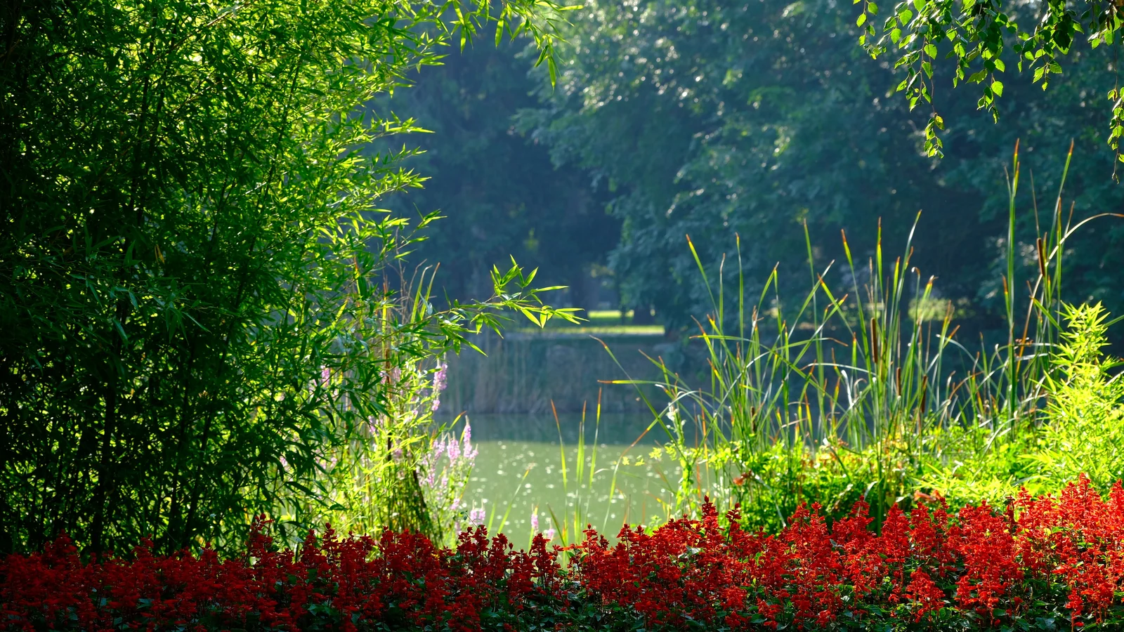 Neighbourhood park in Sector 143B, Noida