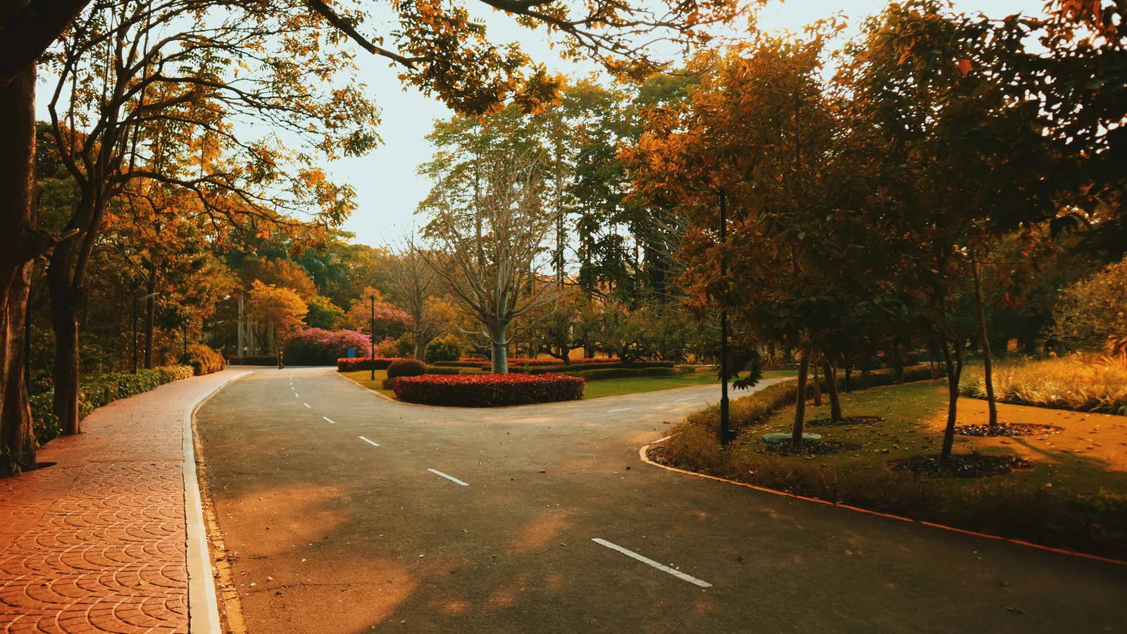 Neighbourhood park in Sector 17, Noida