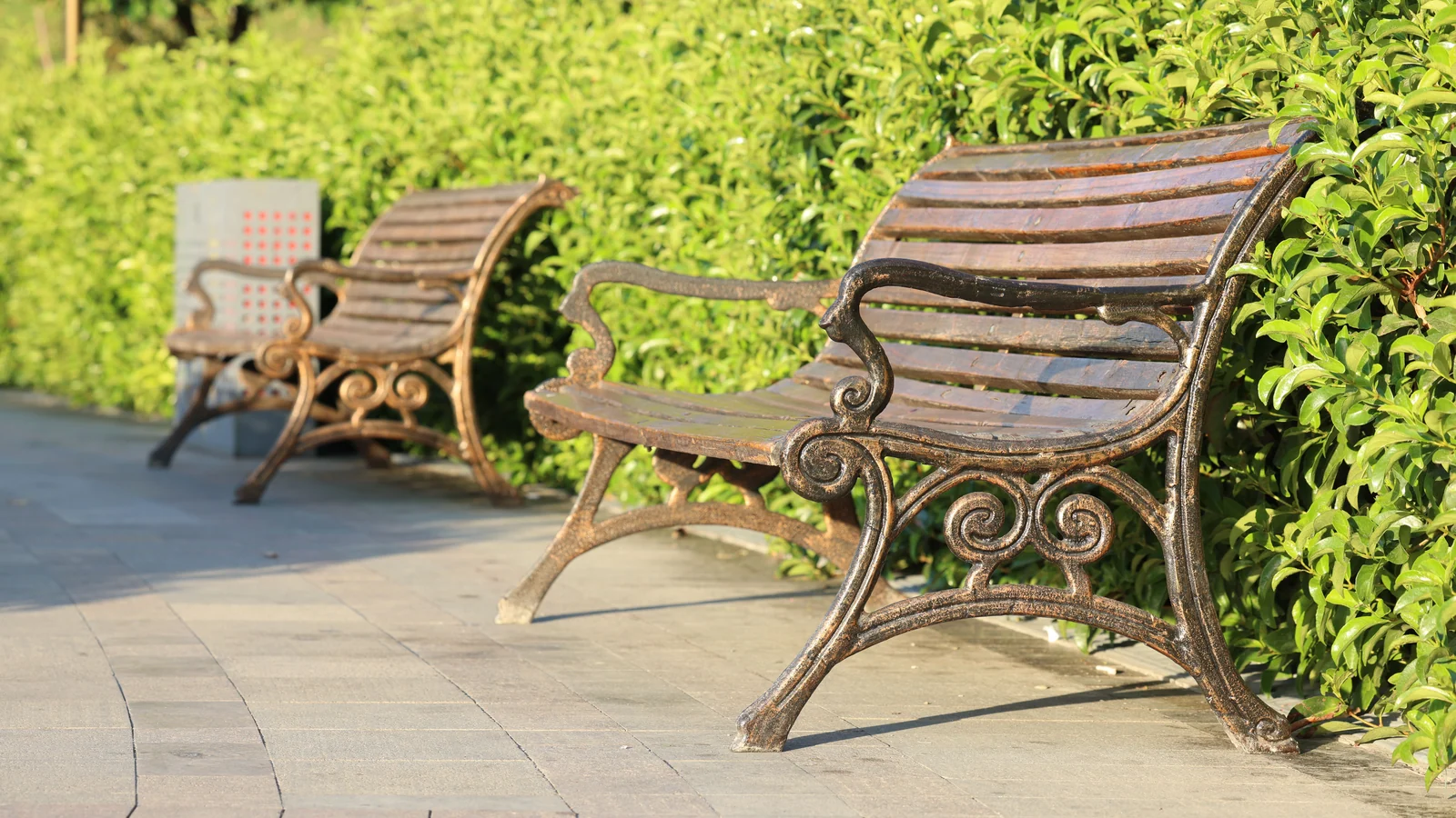 Neighbourhood park in Sector 2, Noida