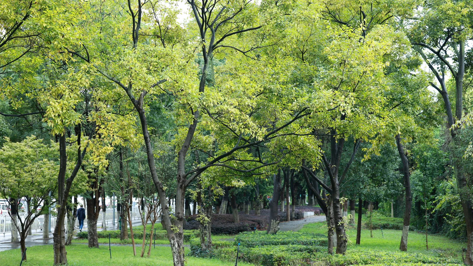 Neighbourhood park in Sector 25, Noida