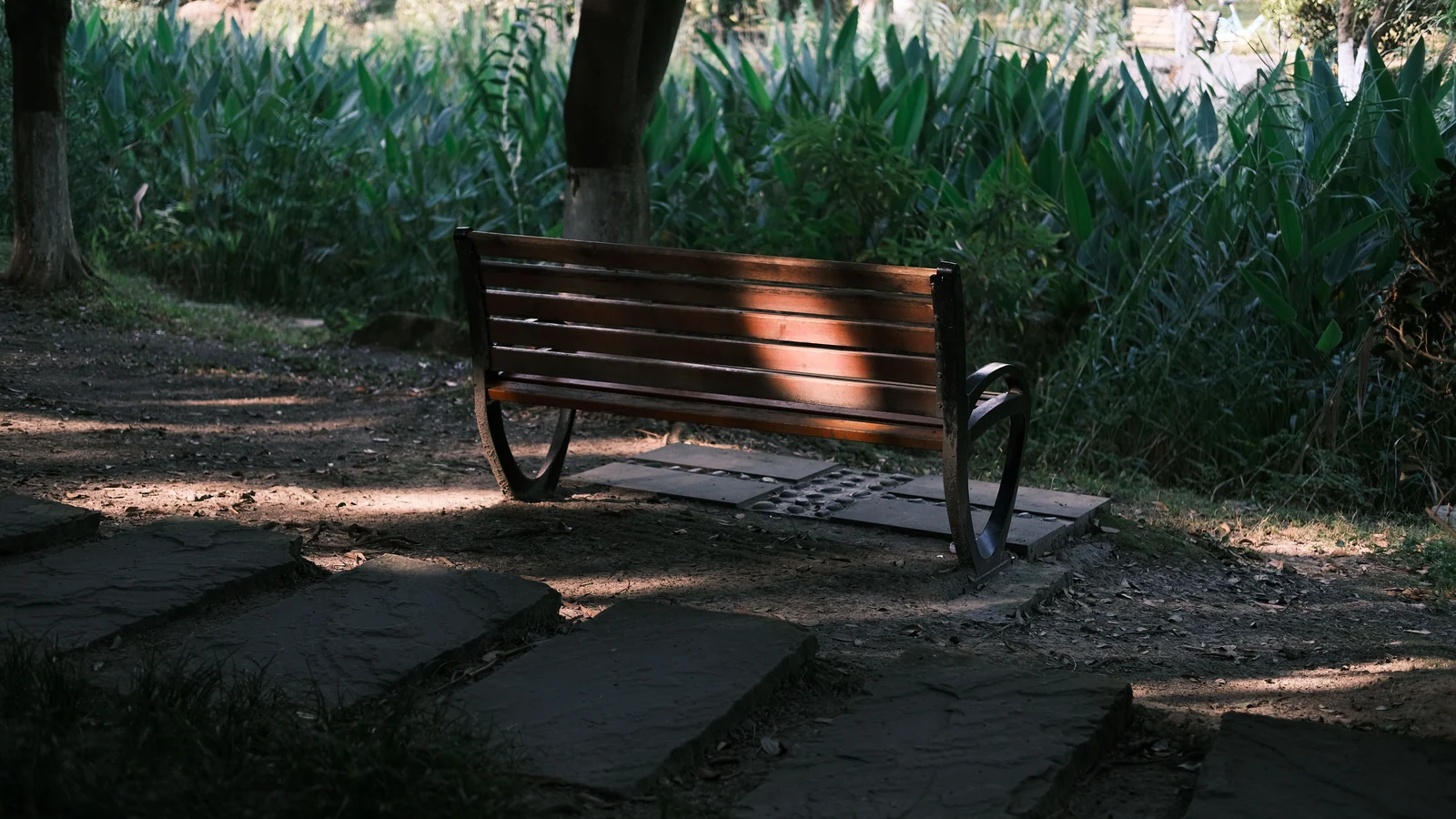 Neighbourhood park in Sector 40, Noida