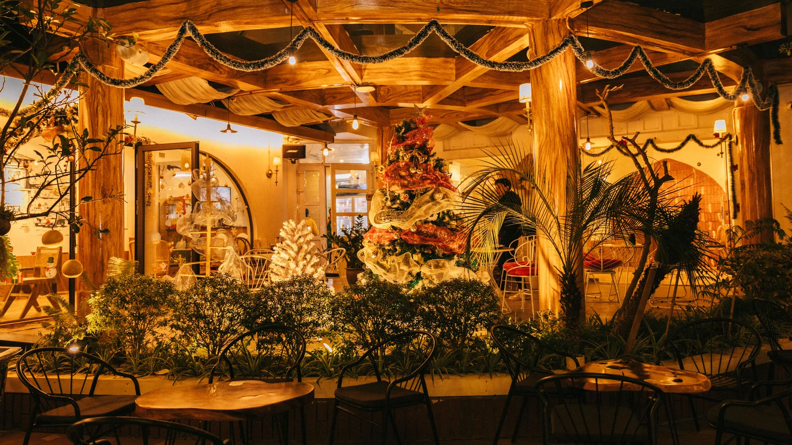 Street food and dining in Sector 42, Noida