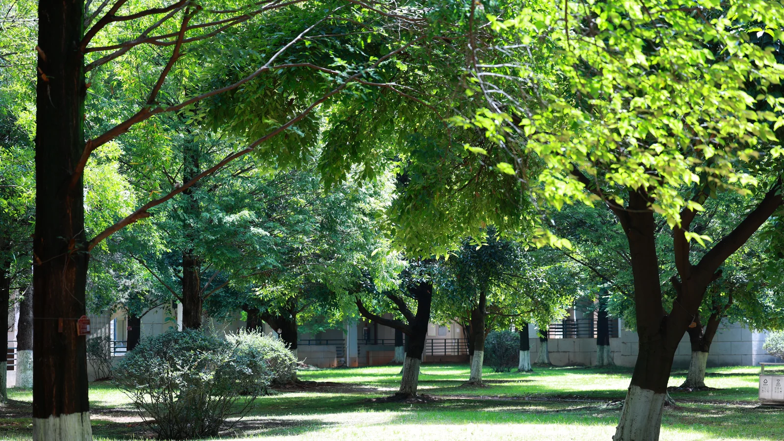 Neighbourhood park in Sector 51, Noida