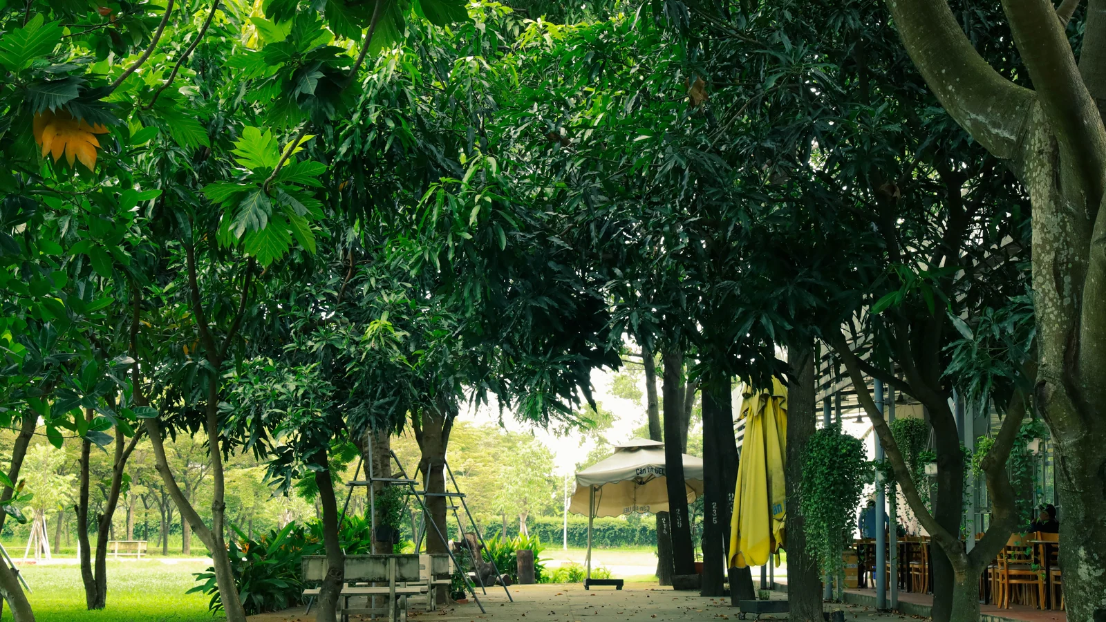 Neighbourhood park in Sector 53, Noida