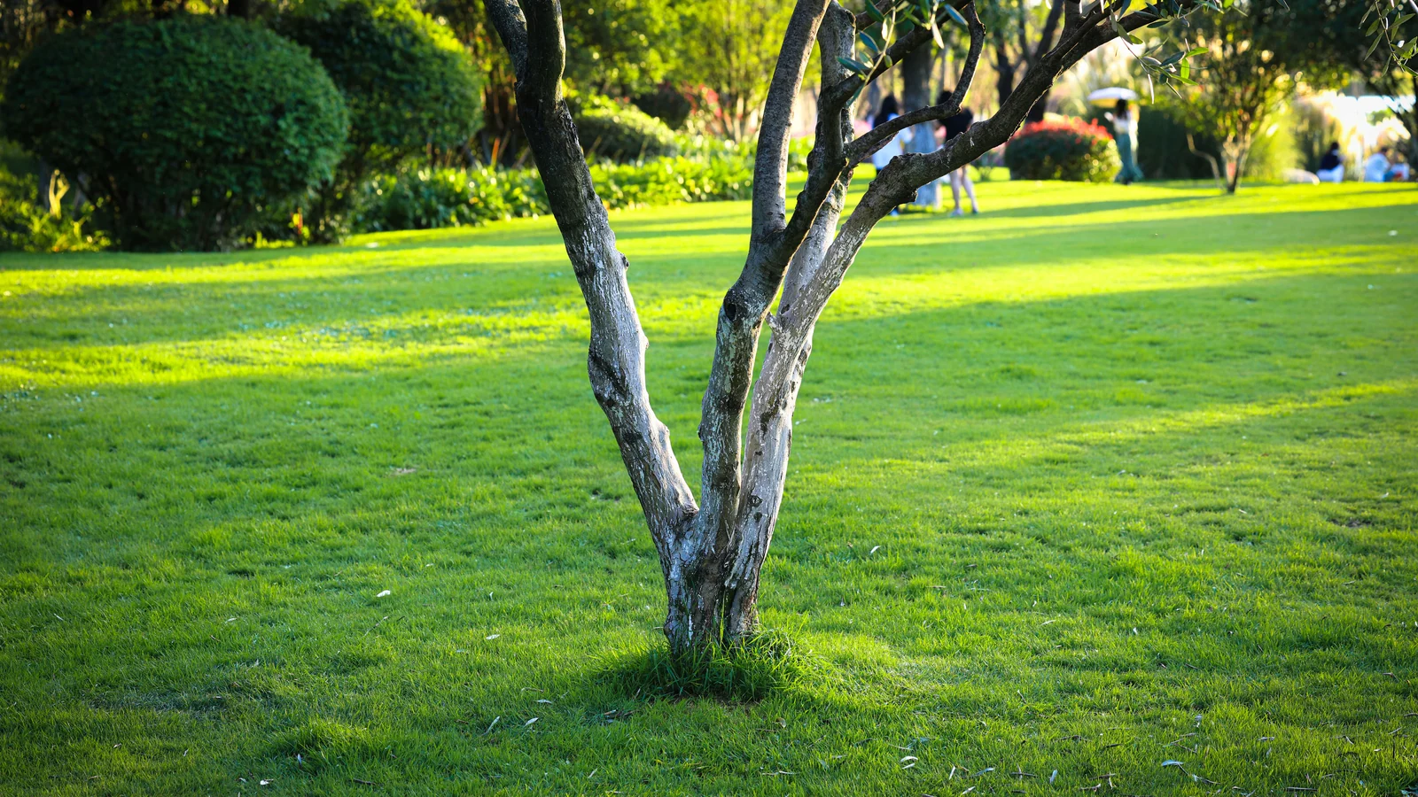 Neighbourhood park in Hadapsar, Pune