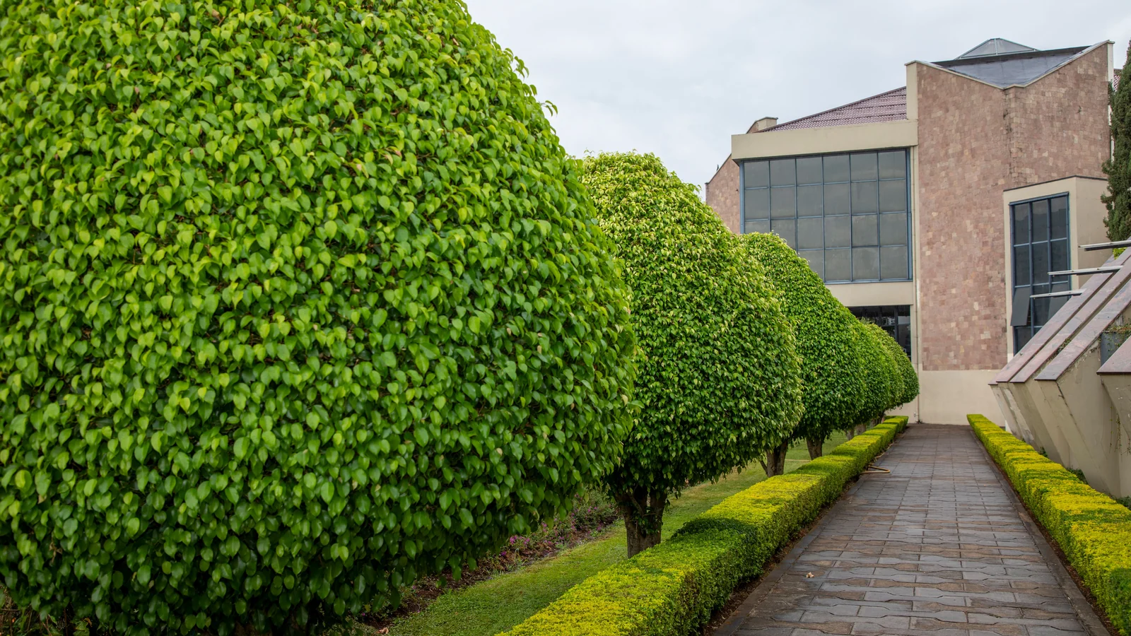 Neighbourhood park in Shivane, Pune